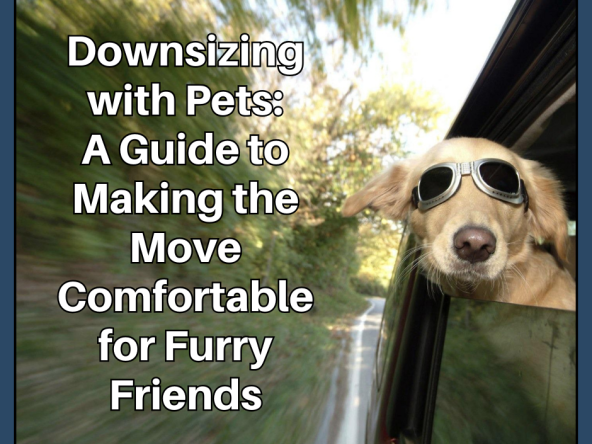 downsizing with pets